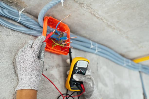 Best Electric Panel Repair  in Mayville, WI